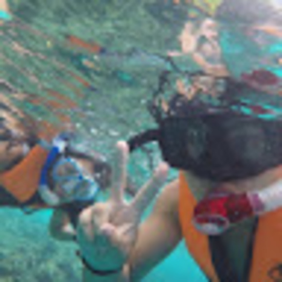 Meet your Posher, Anna - Picture 1 of 1